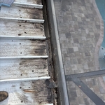 Gutter Cleaning