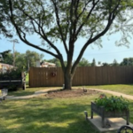 Residential Tree Work
