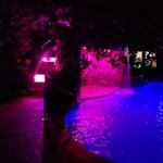 Pool, pergola, kitchen
