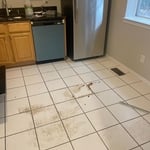 Move Out Cleaning