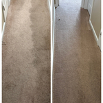 Move-Out Clean