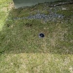 Termite Control