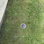 Termite Control