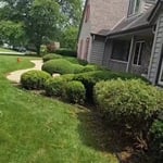 Pruning