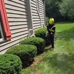Pruning