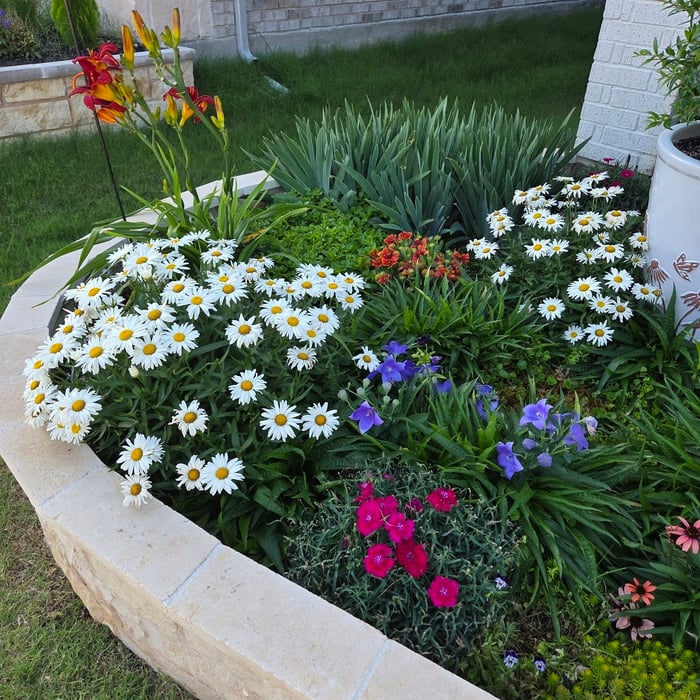 Residential Garden