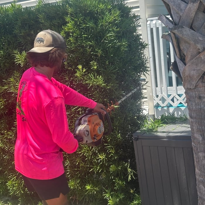 Hedge and Bush Care