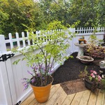 4' privacy