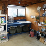 Garden area of shop