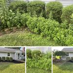 Mulch and edge