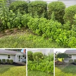 Mulch and edge