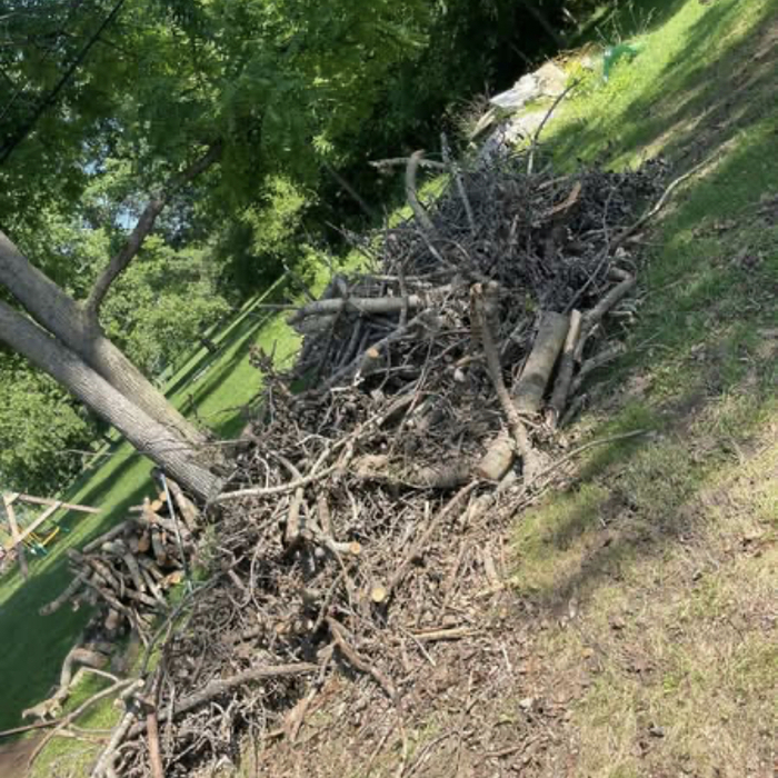 Junk and Debris removal