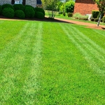Lawn care & maintenance