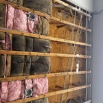 Moldy Insulation