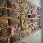 Moldy Insulation 2