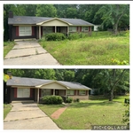 Over grown lawn