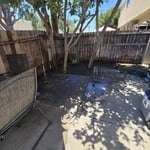 Backyard Tree Cleanup