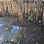 Backyard Tree Cleanup