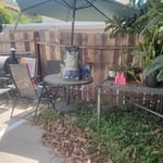 Backyard Tree Cleanup