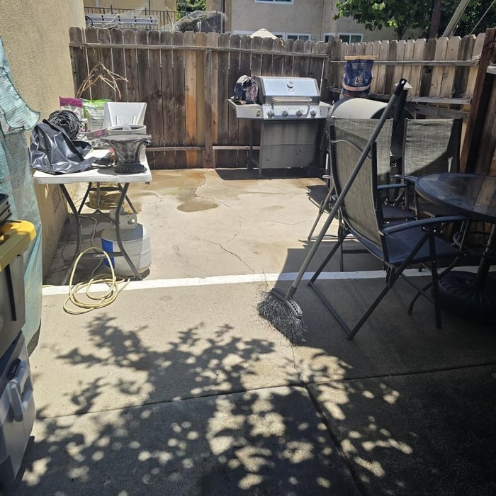 Backyard Tree Cleanup