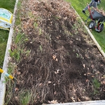 Small garden till