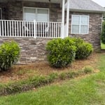 Garden transformation