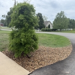 Garden transformation