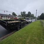 Yard debris removal