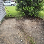 Yard debris removal
