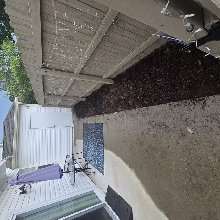 Patio Clean up