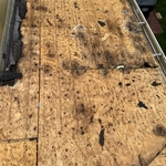 New Roof