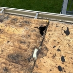 New Roof