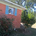 Trimming the hedges