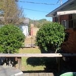 Trimming the hedges
