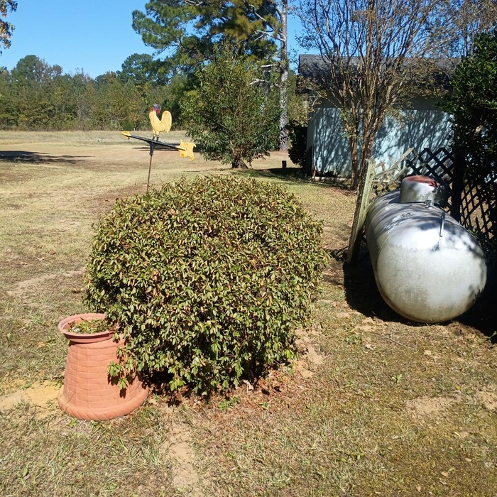Trimming the hedges