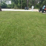 My work