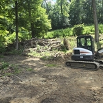 Renovation of 2 acres !!!