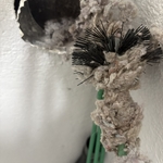 Lint Build up