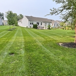 Weekly mowing services