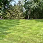 Weekly mowing service