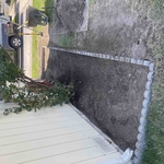 Flower bed