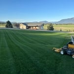 No lawn is too big