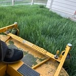 Overgrown No Problem
