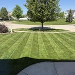 Lawn maintenance