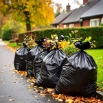 Lawn and Yard Waste Clean Up