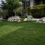Lawn Program Client