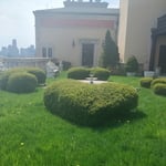 Bespoke Rooftop Garden