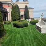 Bespoke Rooftop Garden