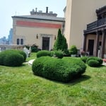 Bespoke Rooftop Garden