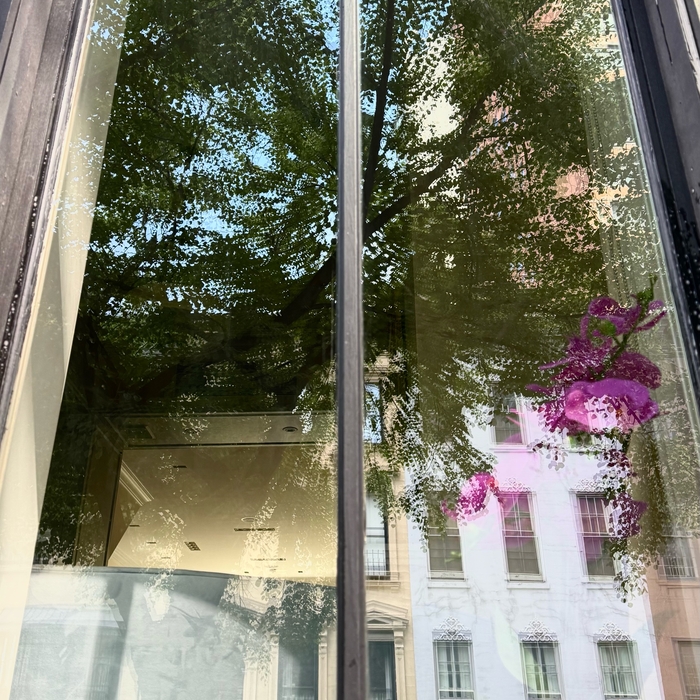 Window restoration